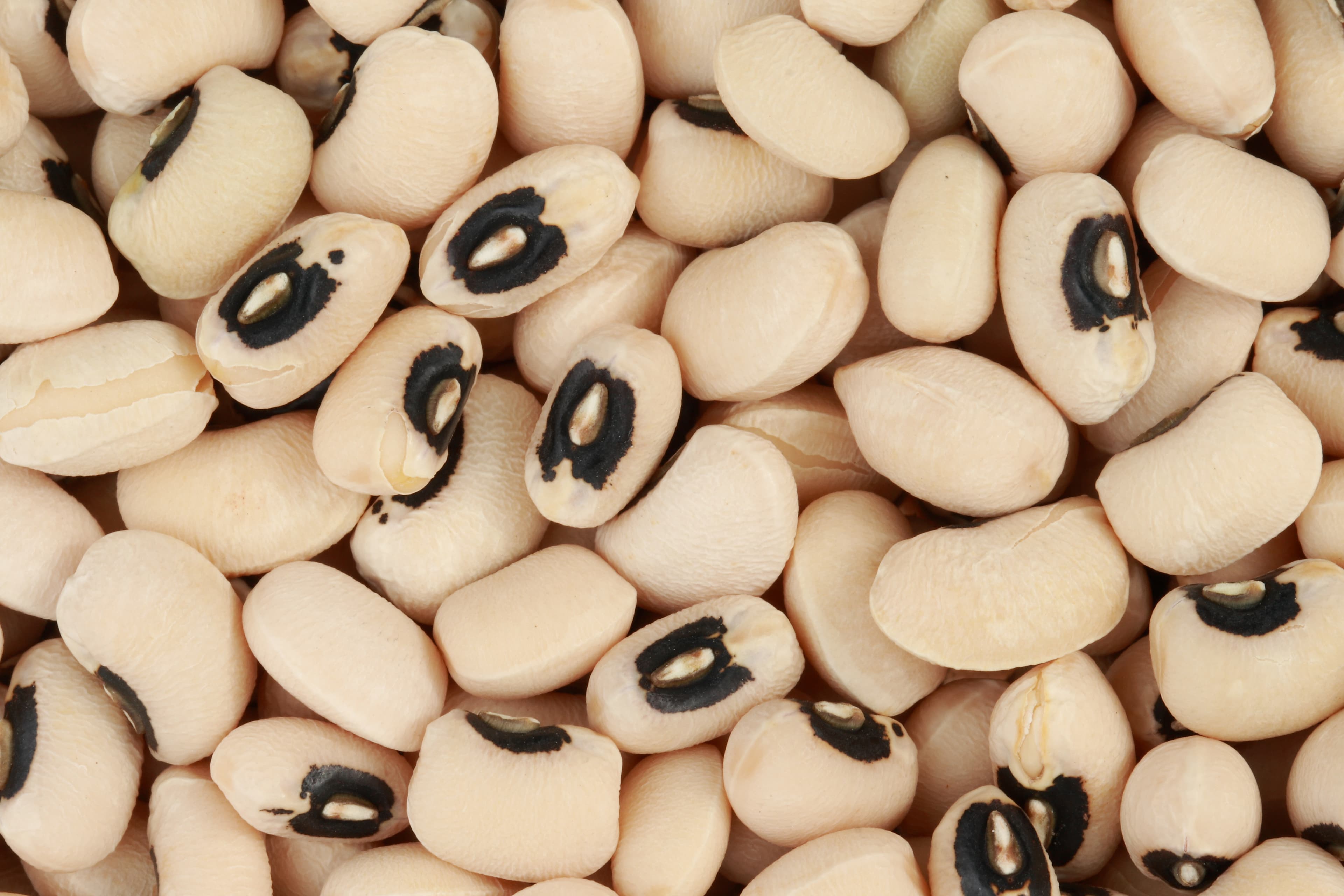 Black eyed kidney beans