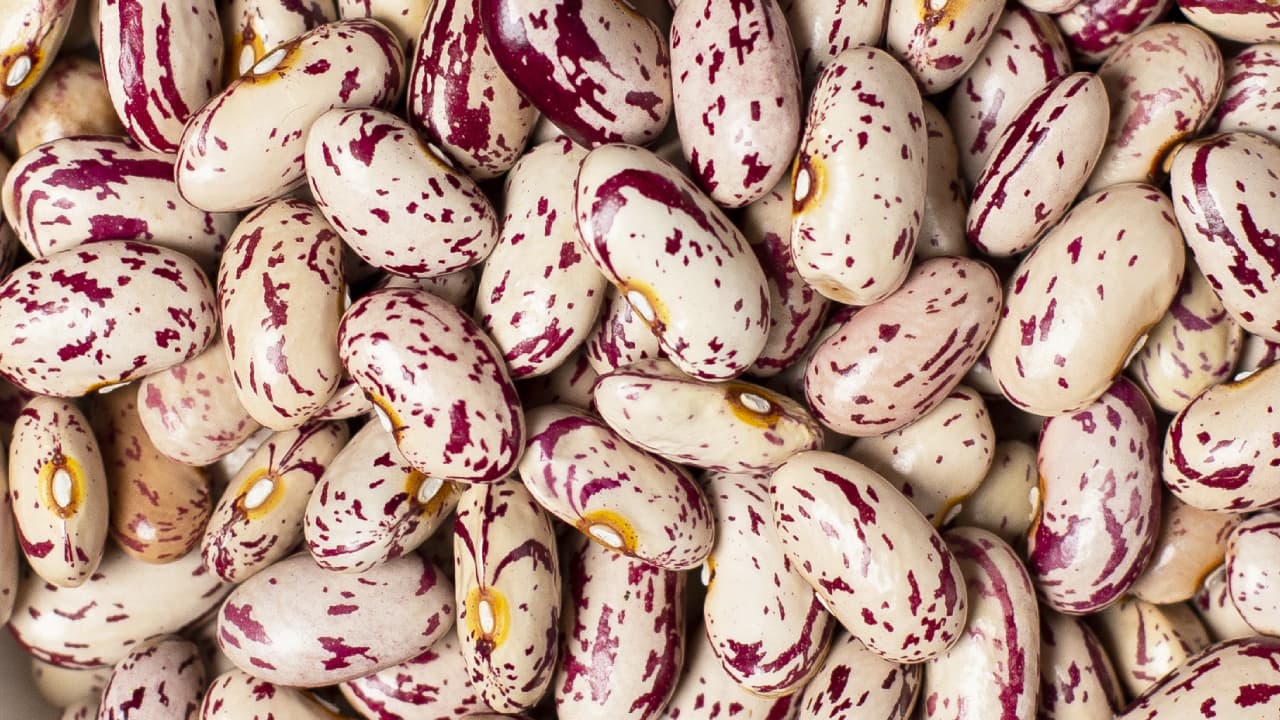 Light speckled kidney beans 