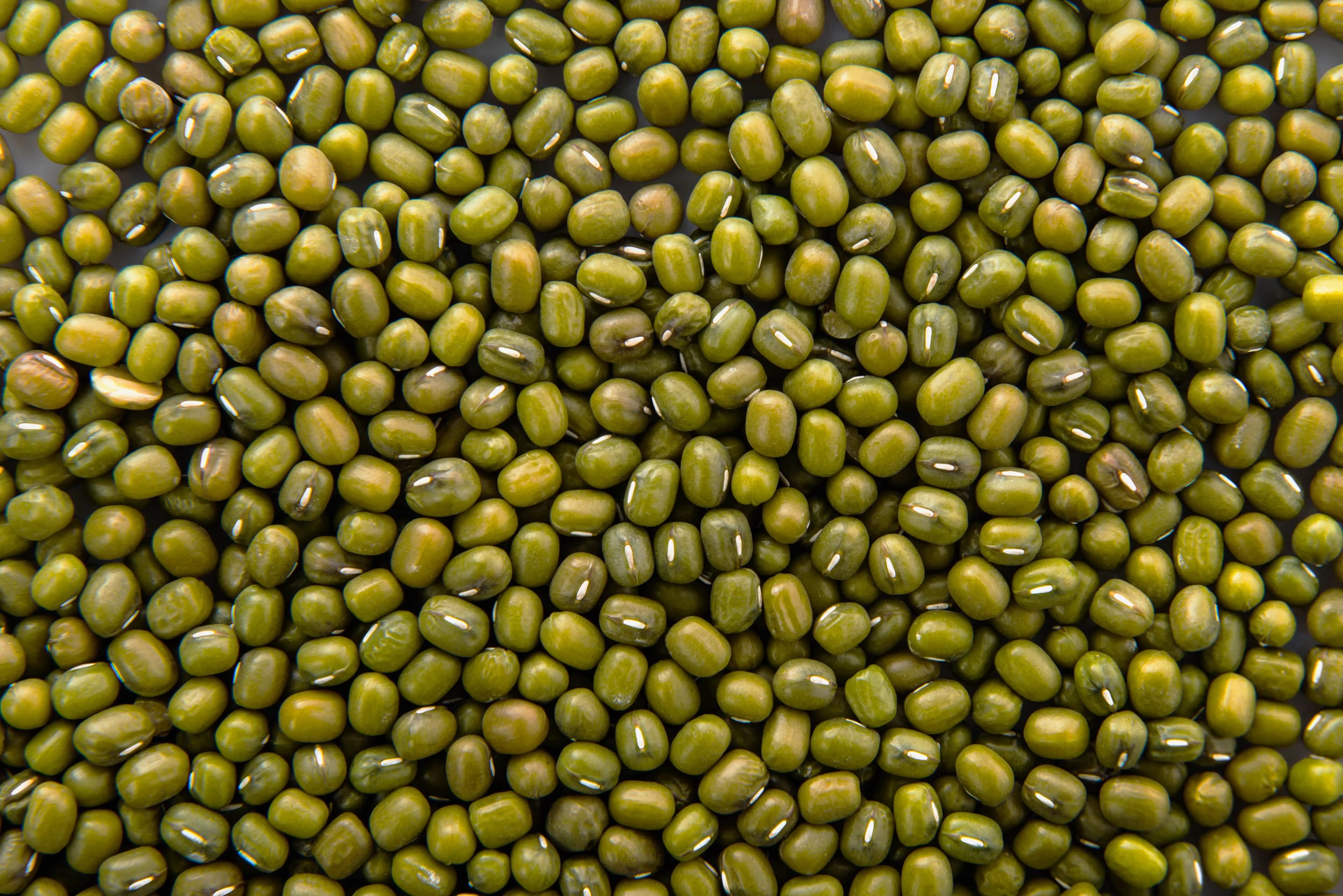 Green Mung Bean
