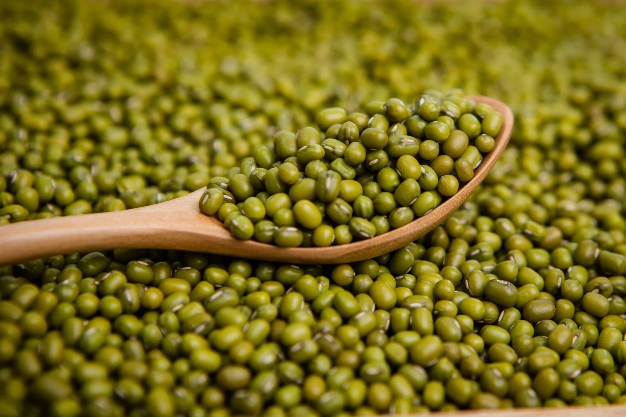 Green Mung Bean