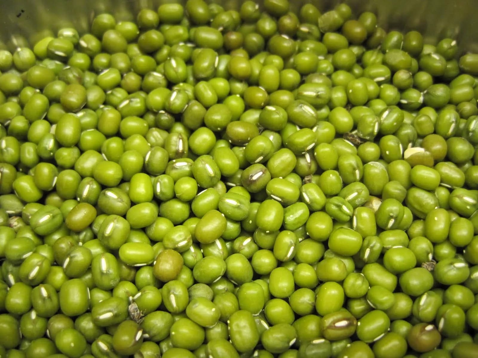 Green Mung Bean