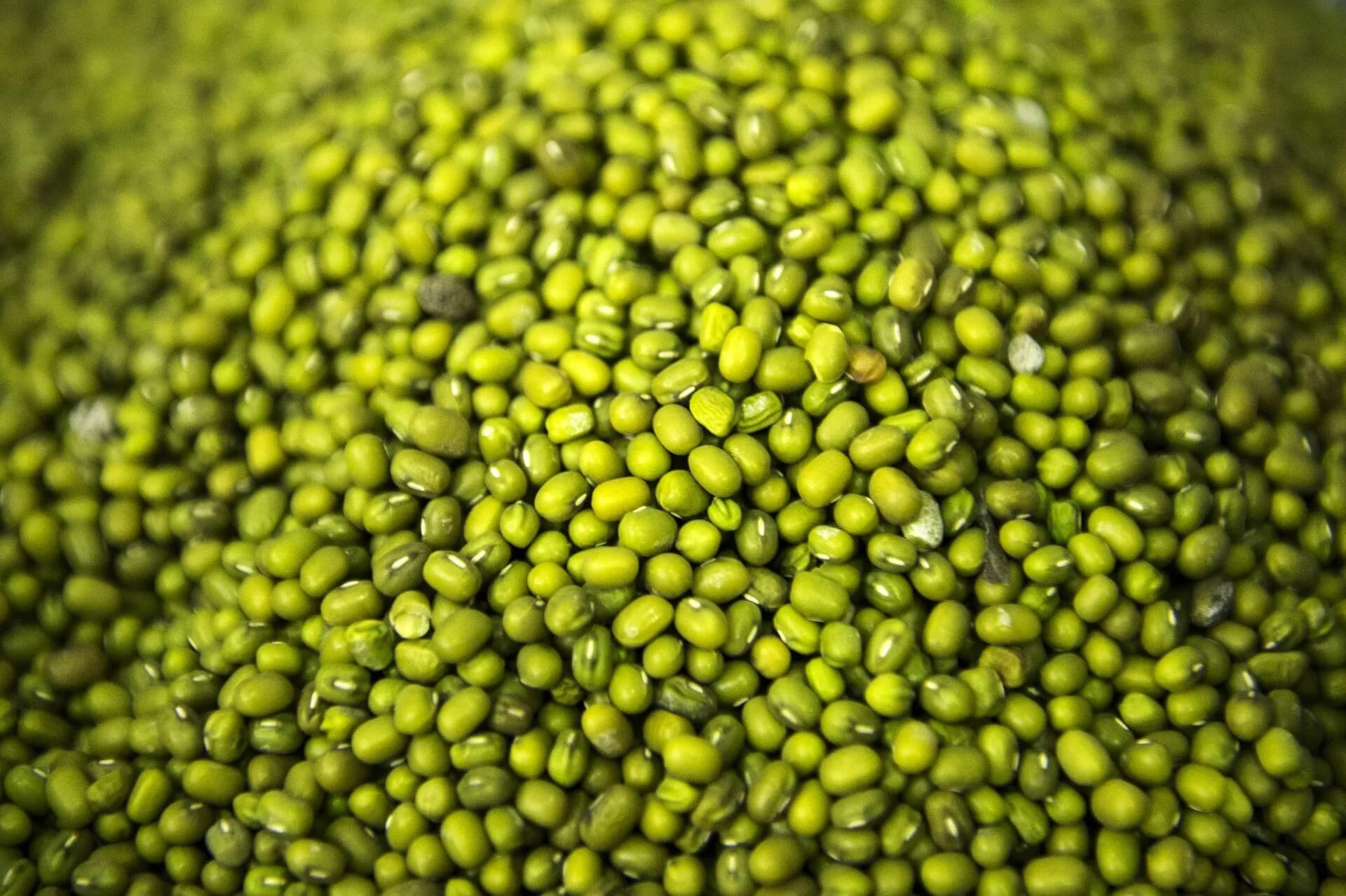 Green Mung Bean